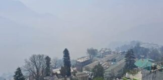 उत्तराखंड के पहाड़ों में पाला तो मैदान में शीतलहर बढ़ा रही ठंड, दून में साढ़े आठ बजे के बाद ही खुलेंगे स्कूल